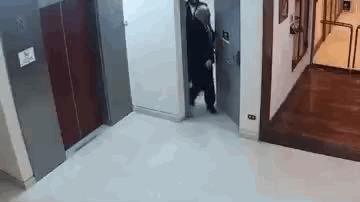 Video cámaras Congreso