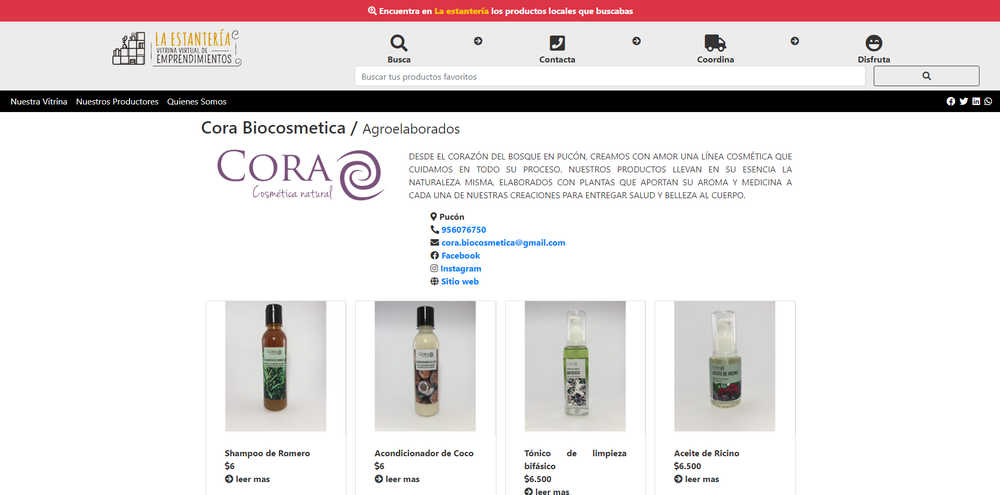 La Estantería, portal web. 