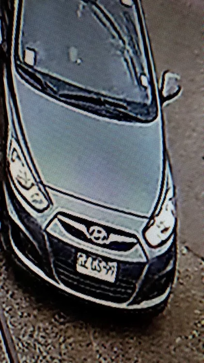 Atropello en Temuco 2