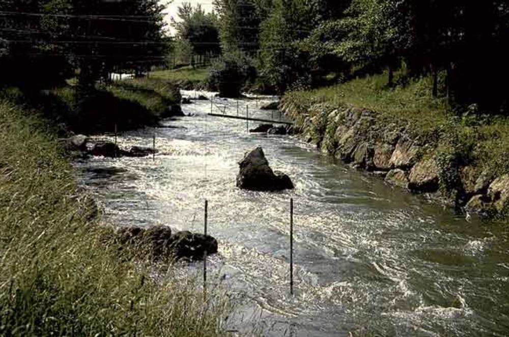 Canal naturalizado para el Chinook 