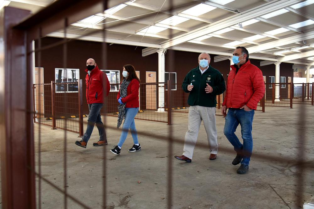 Verificación de sitio para hortaliceras mapuche.