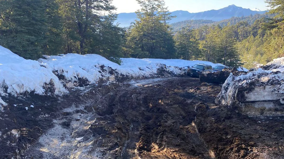 WhatsApp Image 2022-08-10 at 11.05.37 PM