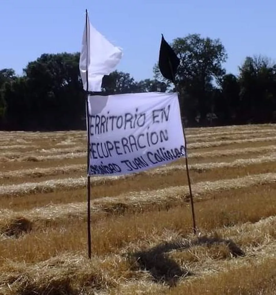 Toma en sector Botrolhue - Temuco