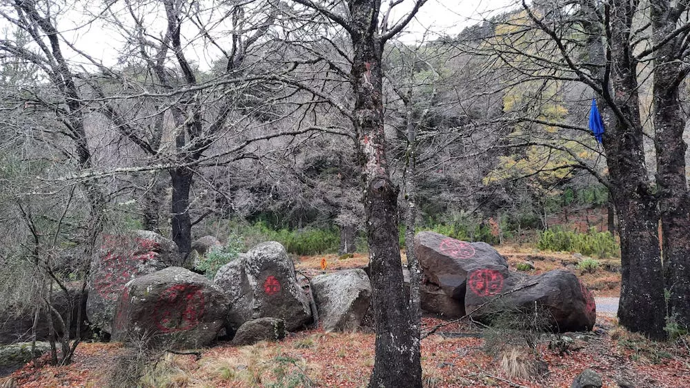 Rayados PN Tolhuaca 3