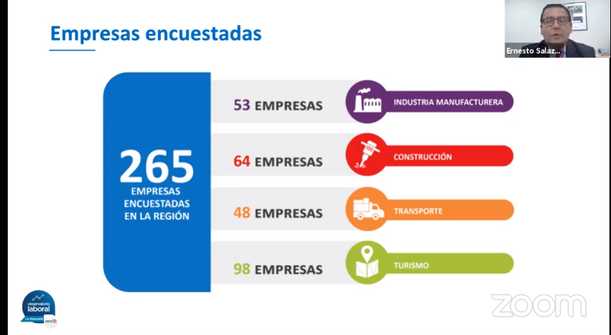 Empresas encuestadas en La Araucanía. 