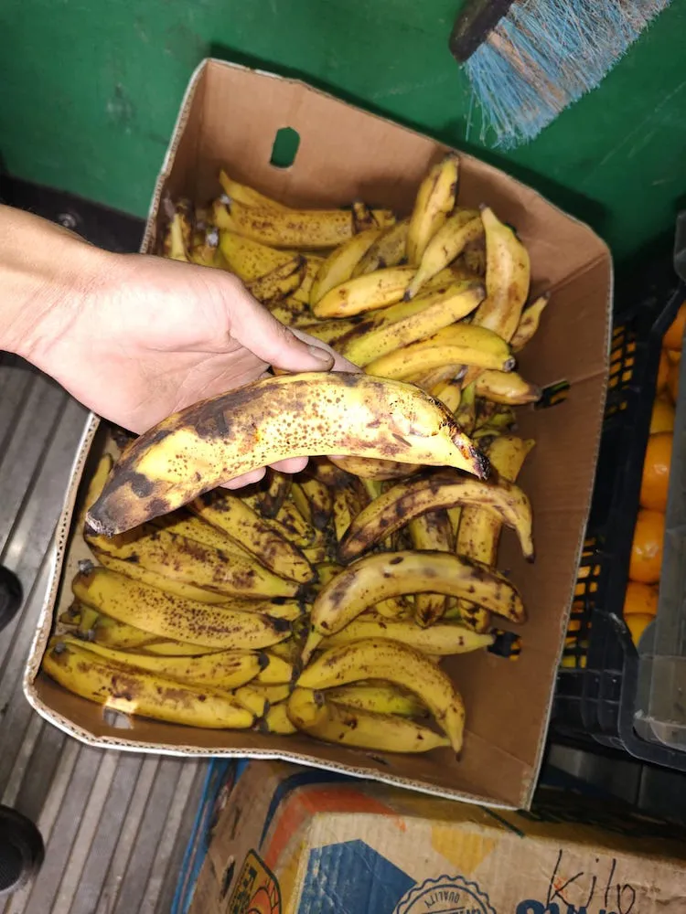 WhatsApp Image 2023-11-07 at 11.22.08