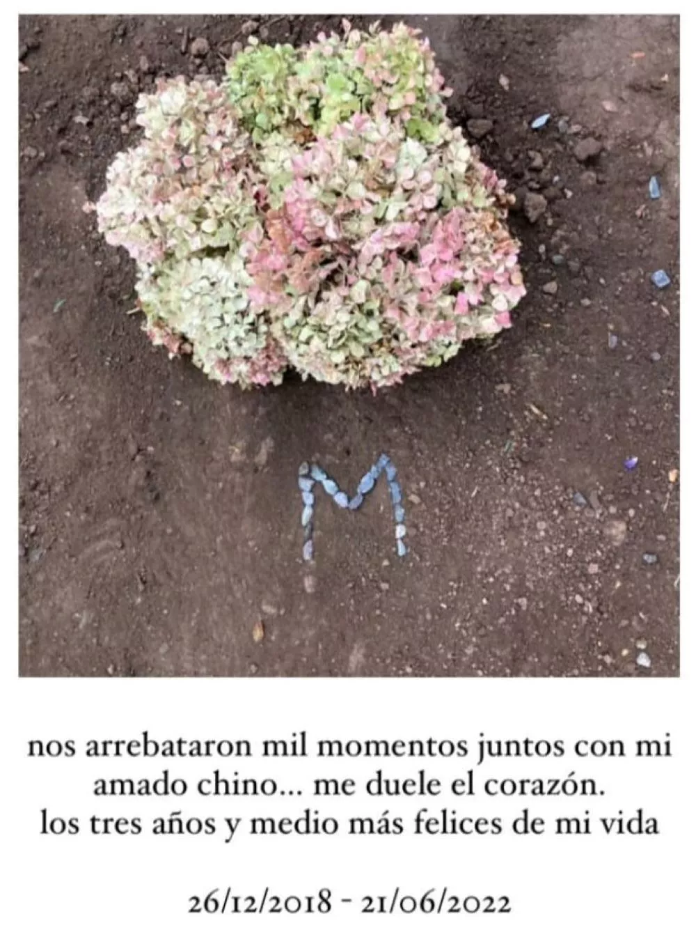 Vecino que mató a “Magnus” revive polémica 