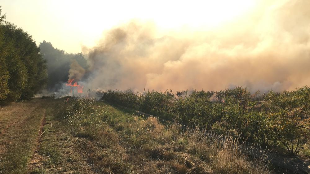 665DA906-51EE-43BA-B6E0-1BDF8289EA9B