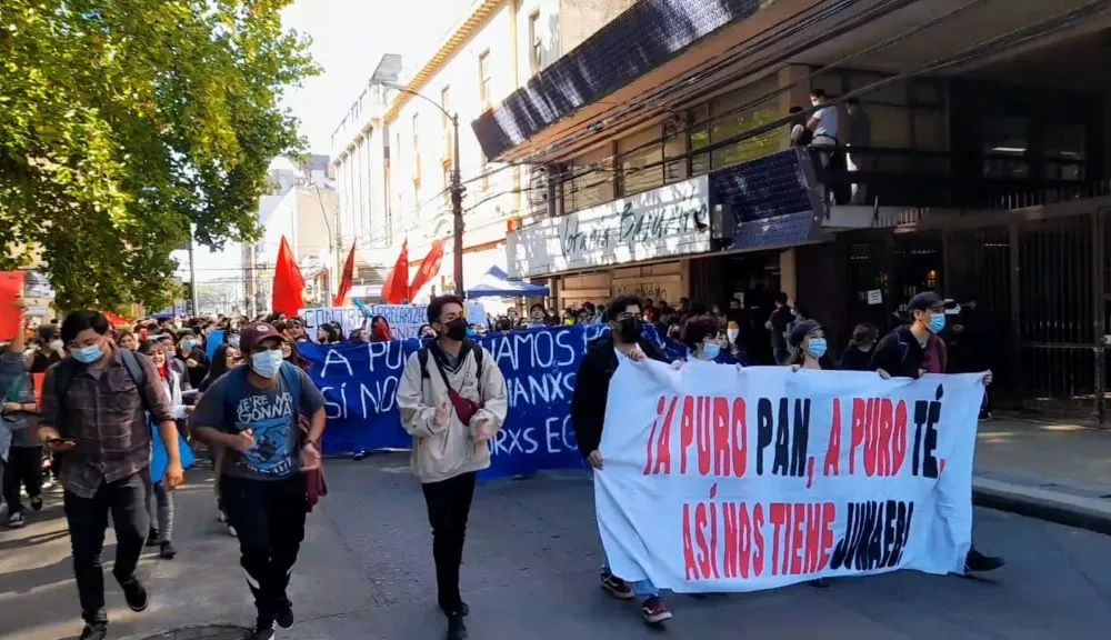 Marcha en Temuco para exigir aumento en la Baes