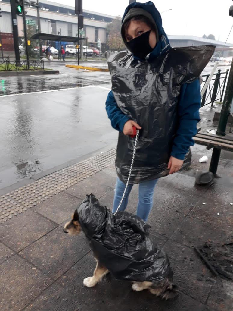 Cuidadora de perritos. Cuidadora de perritos.