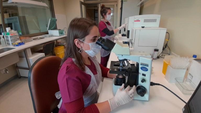 Personal del Complejo Asistencial Padre Las Casas. Personal del Complejo Asistencial Padre Las Casas.