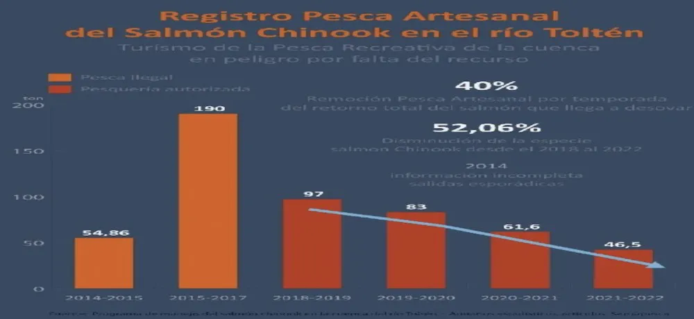 Disminucion del salmon en Tolten