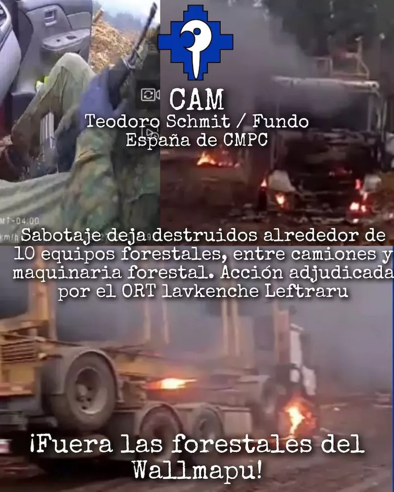 CAM reivindica atentado en Teododo Schmidt