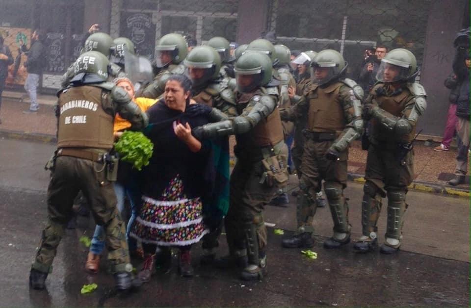 Hortaliceras - Fotografía Roberto Neira A. 