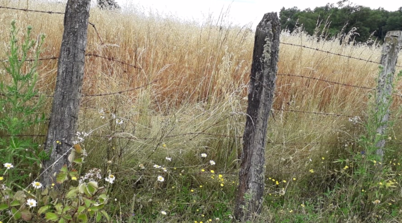 Cercos Santa Adela Sur Cercos Santa Adela Sur