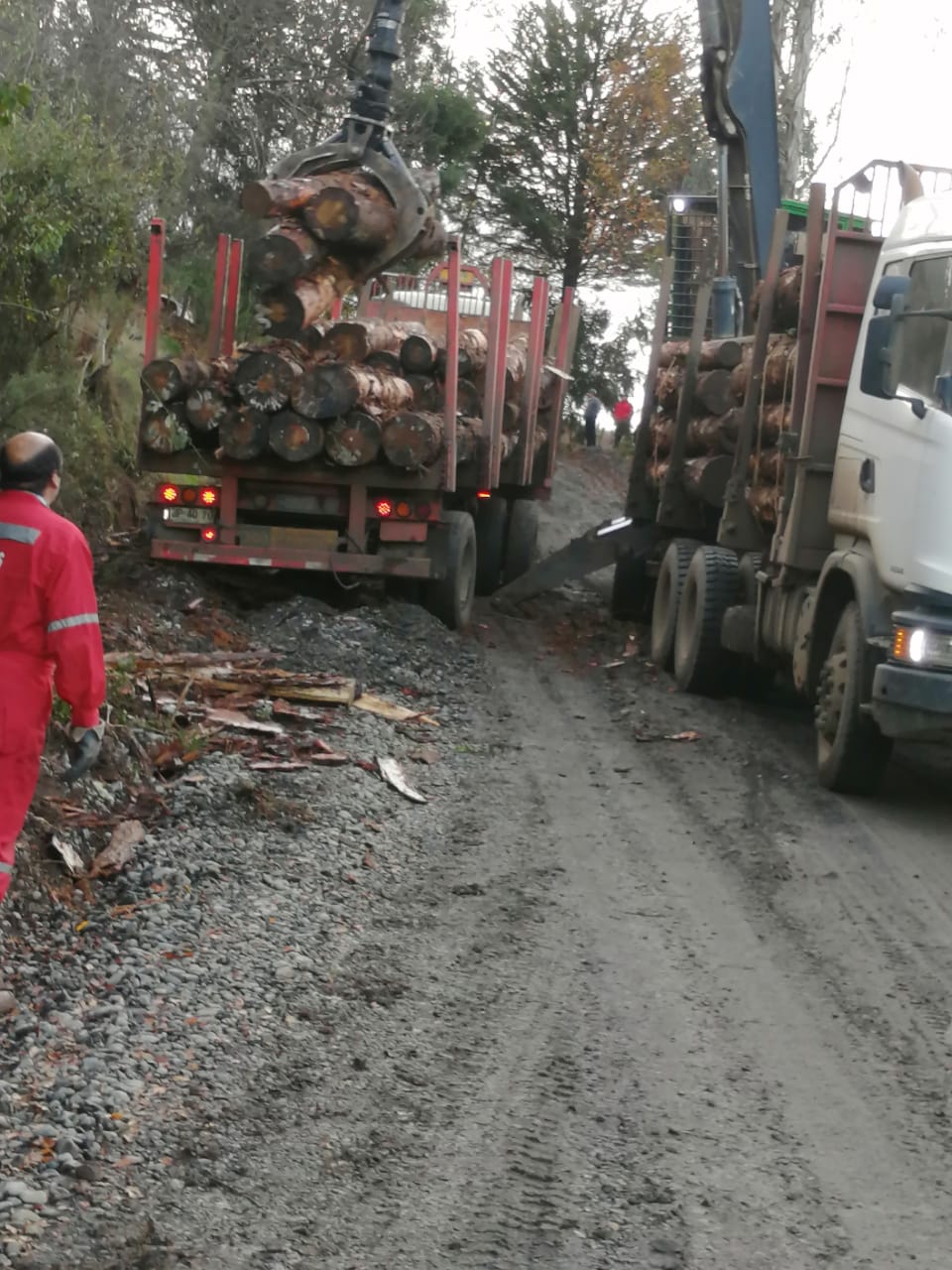 Camiones Forestales 4