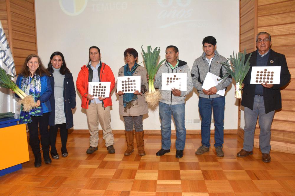 Reconocimiento de Puerro Azul de Maquehue. Reconocimiento de Puerro Azul de Maquehue.