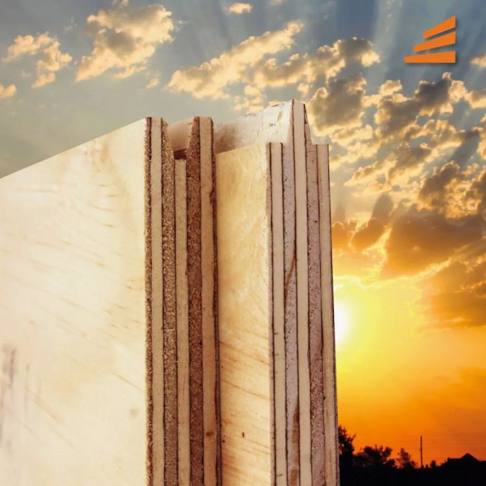 Bioadhesivo Eagon Lautaro