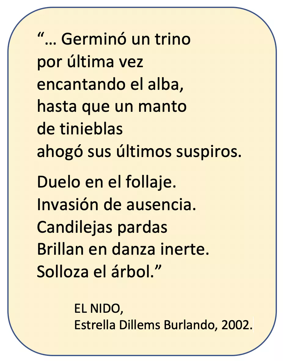 EL NIDO - Estrella Dillems Burlando