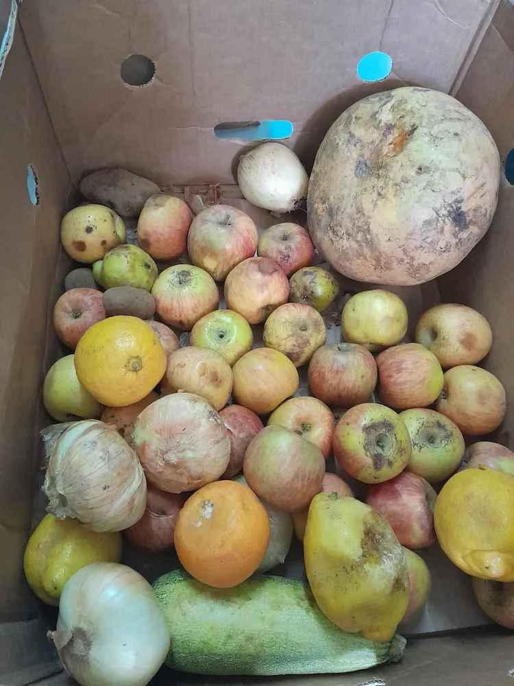 WhatsApp Image 2023-11-07 at 11.22.07