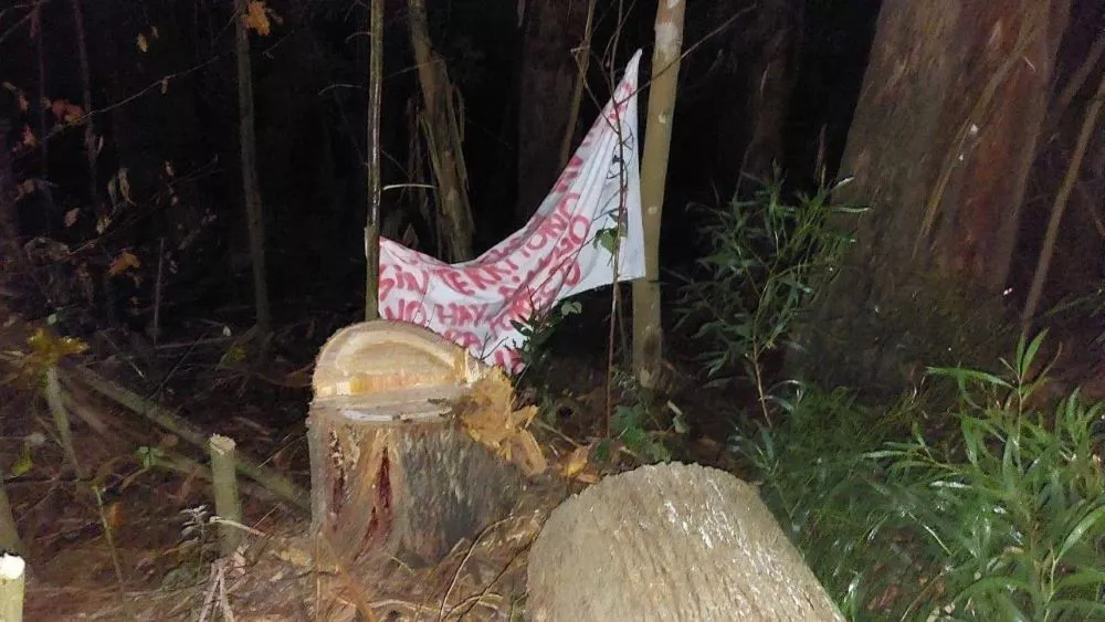 Lienzos en cortes de ruta