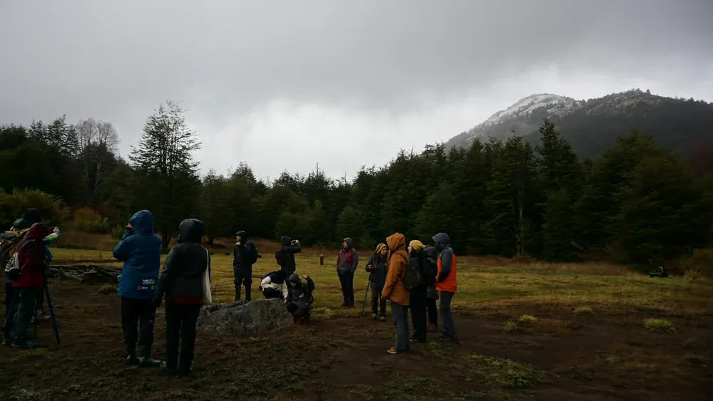 Docentes_LA_Reconectar para regenerar 65