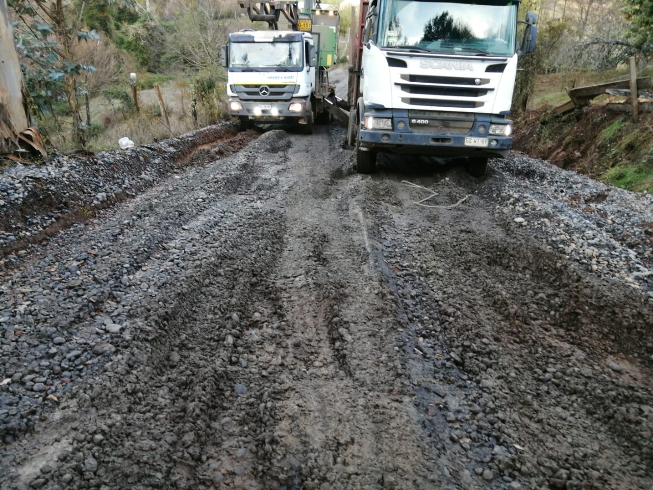 Camiones Forestales 2