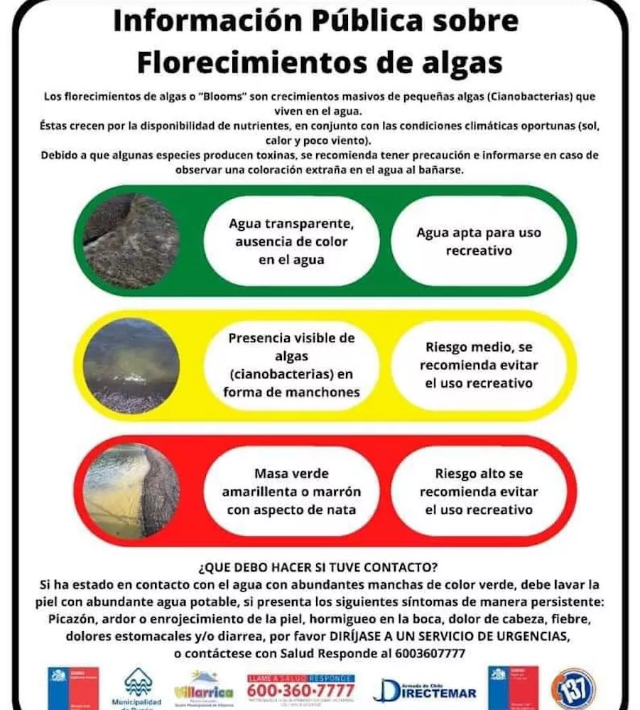 Florecimiento de algas