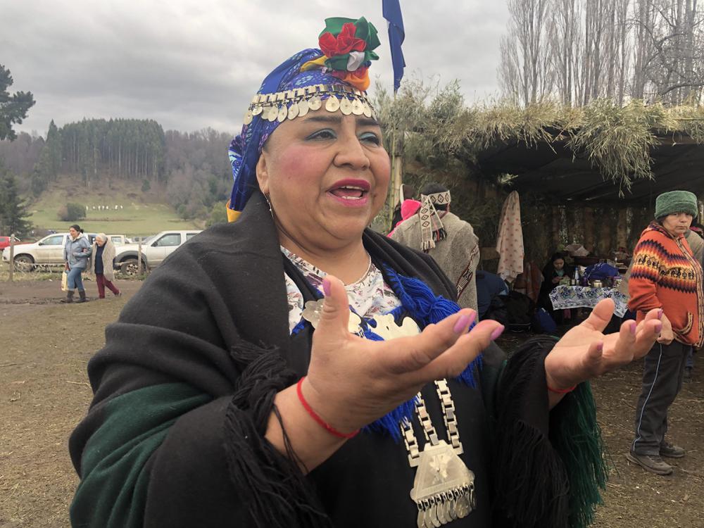 Werkén de la comunidad de Butalewun alto Bío-bío. 