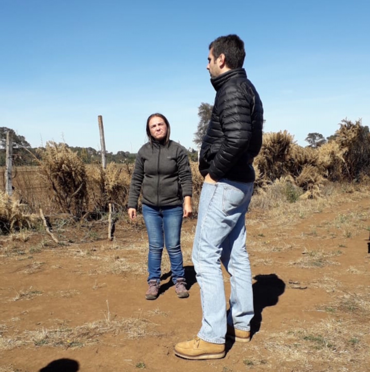 Diego Paulsen en Santa Adela Sur Diego Paulsen en Santa Adela Sur