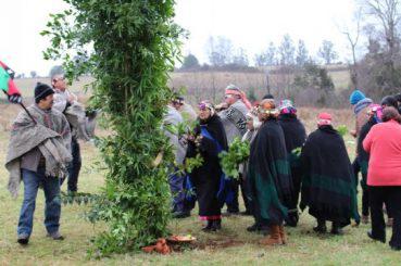Celebración de pueblos originarios.