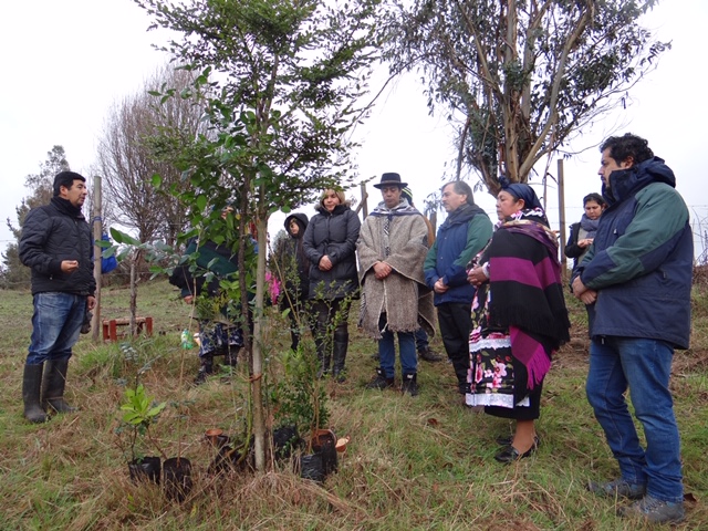 Entrega Arboles Nativos