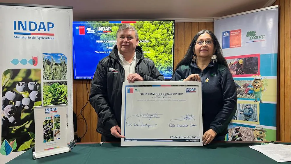 INDAP CONAF 2024