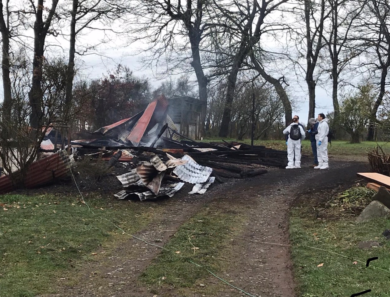 Incendio camino Brasil, Lautaro