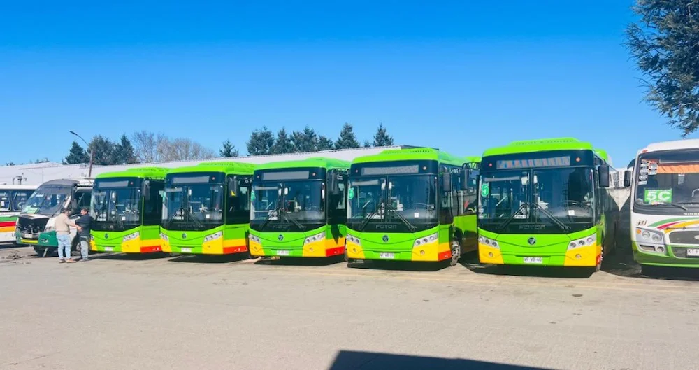buses