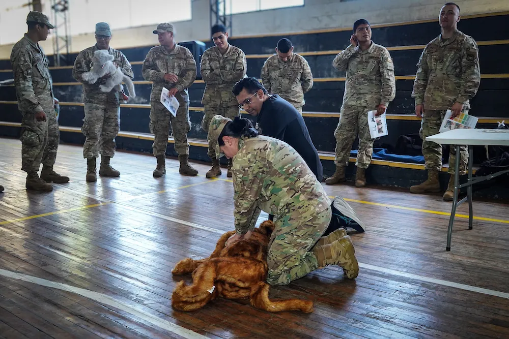 capacitan a brigadas del Ejército en rescate de fauna y animales