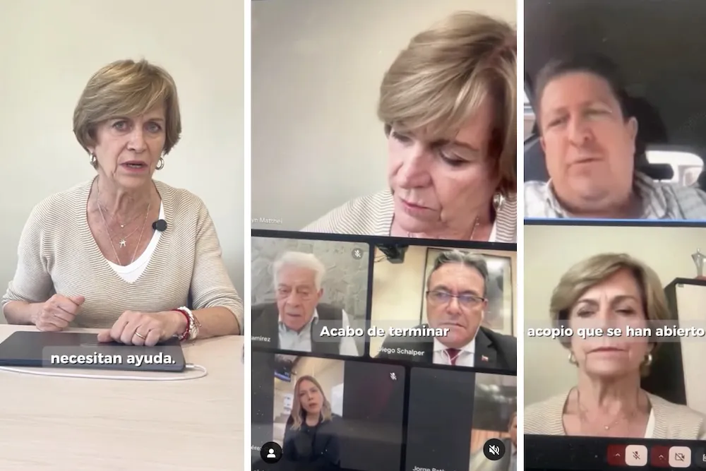 Evelyn Matthei lidera campana de ayuda al Sur por incendios