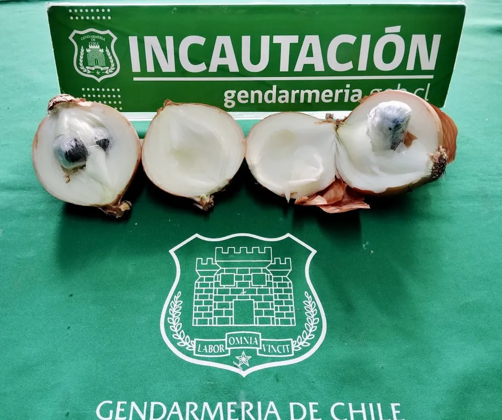 Incautación Cebollas