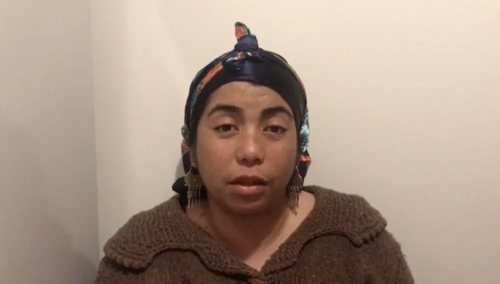 Machi Millaray defensora rio Pilmaiquen