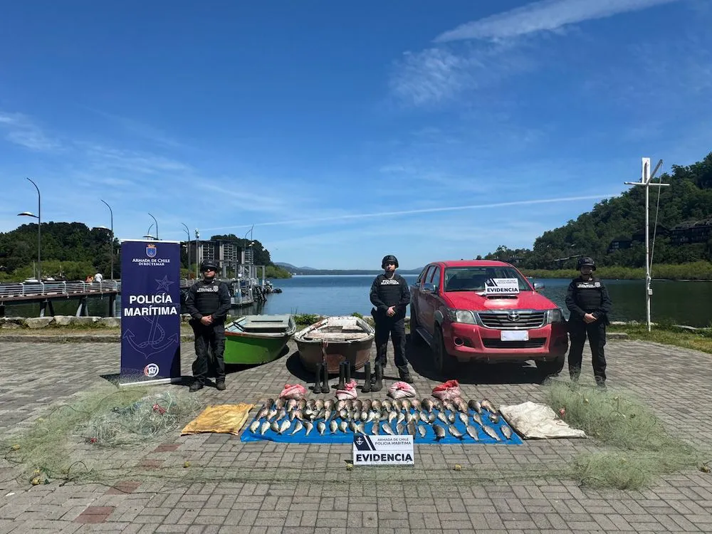 Pesca furtiva con red Pucón