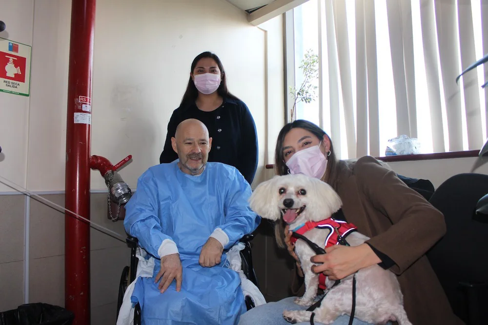 visita de una mascota a un paciente hospitalizado
