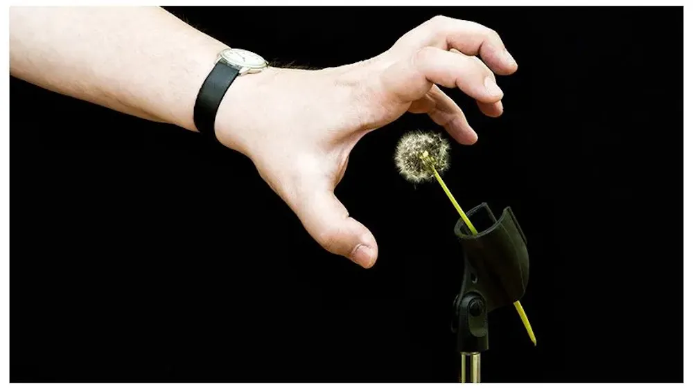 Intimidacion de periodistas en Latinoamerica