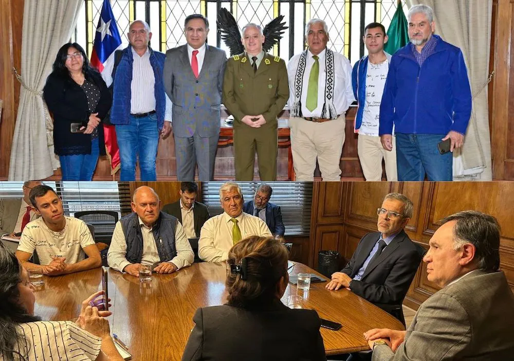 Mellado 