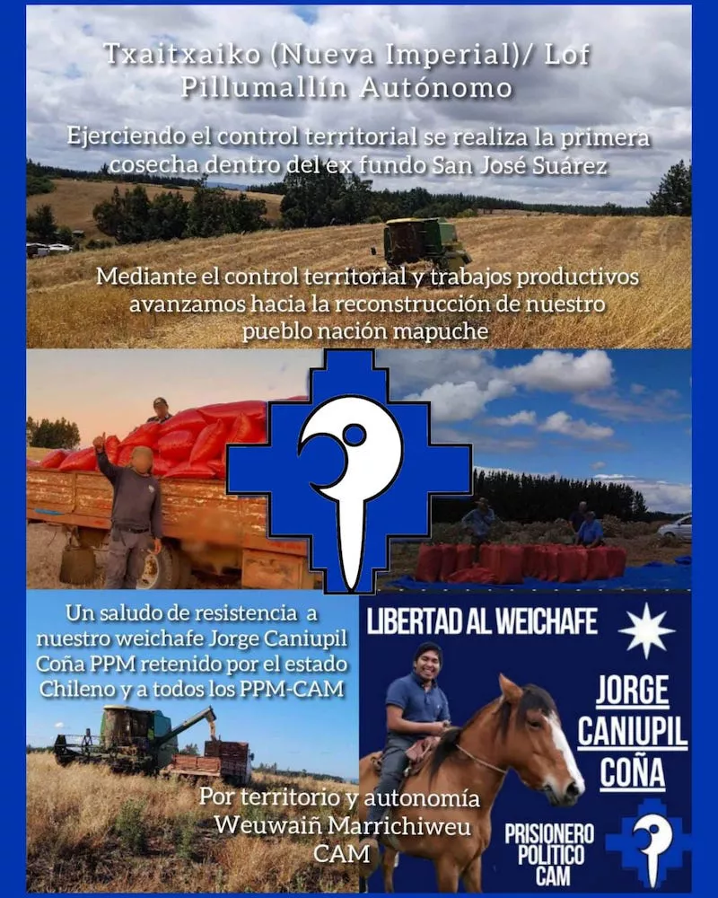 Cosecha en predio Suarez