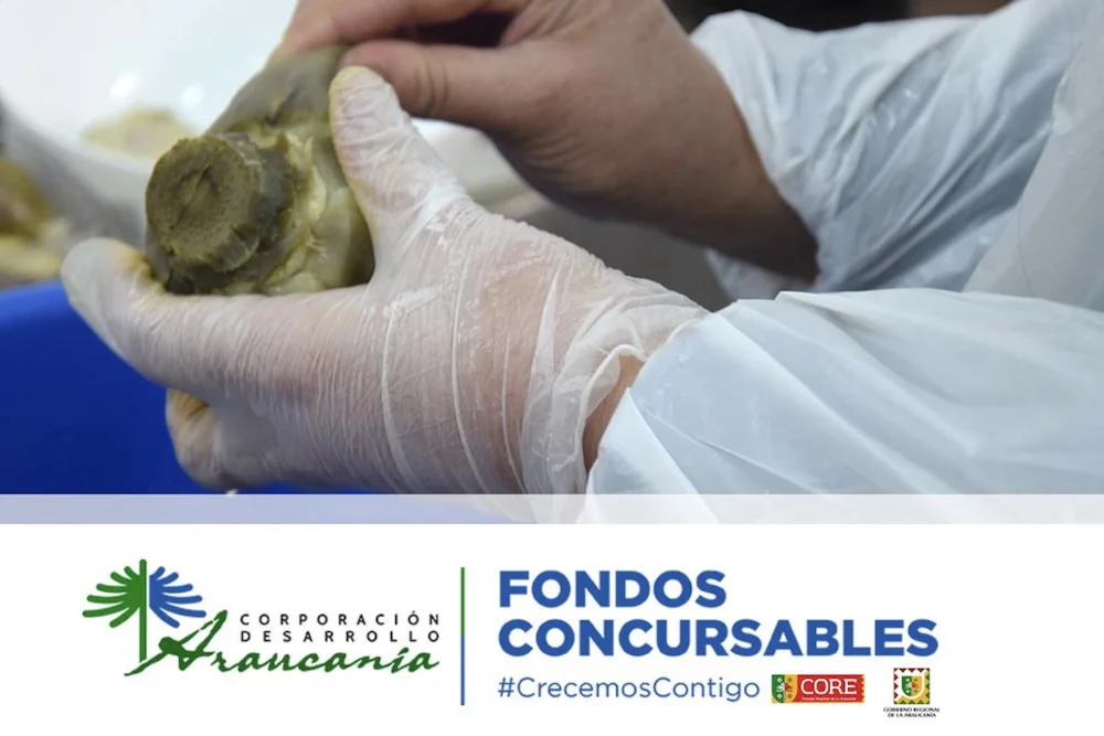 Fondos concursables Corporacion Agencia Desarrollo Araucania
