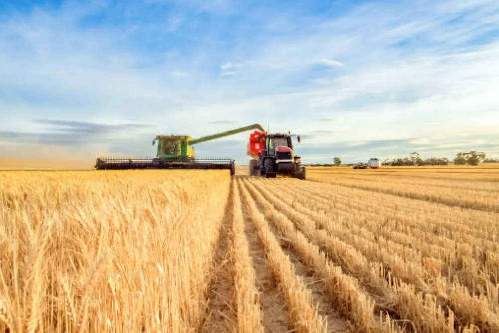 Cosecha de cereales