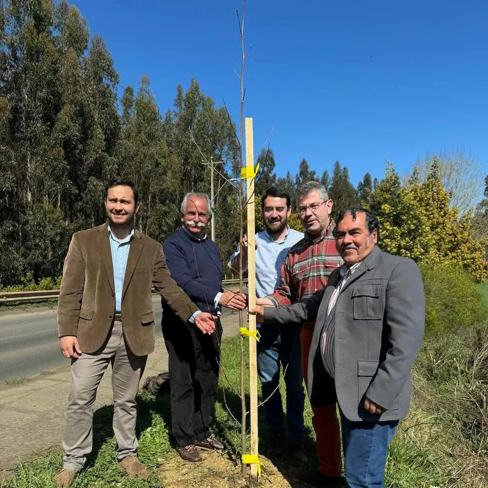 Diputado Jouannet con alcalde de Carahue y Luciano Rivas