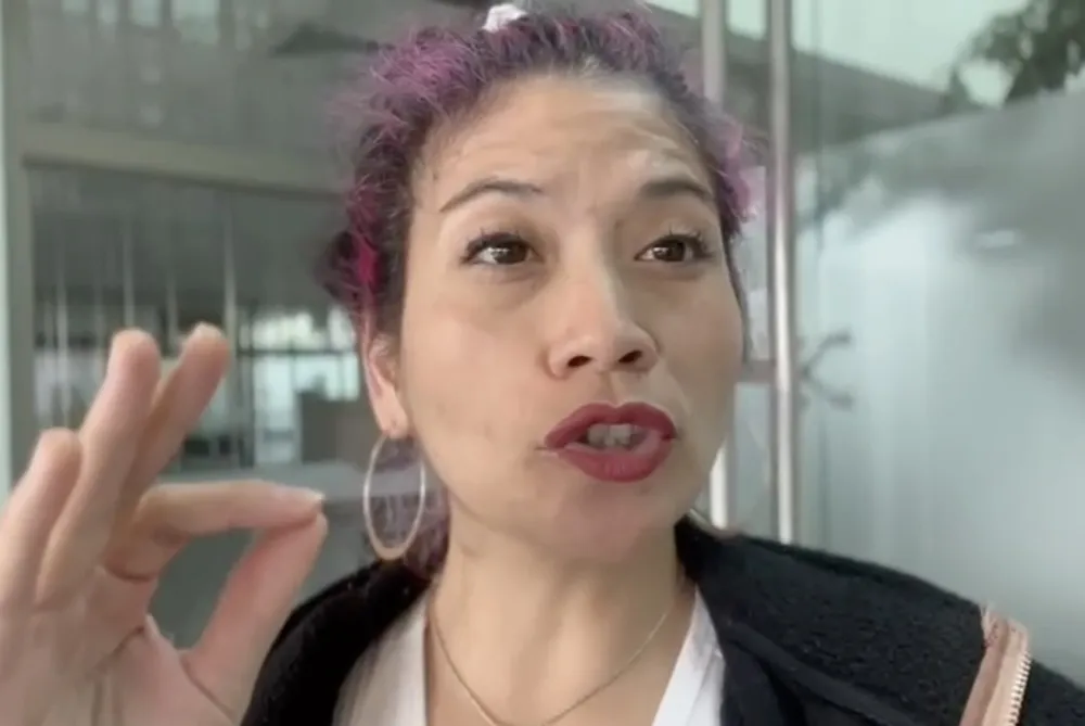 Diputada Ericka Nanco