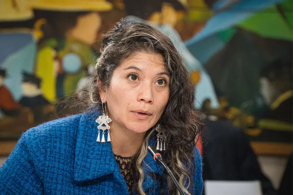 Diputada Ericka Nanco