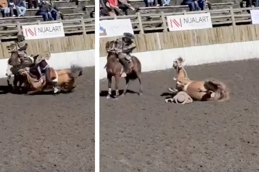 Jinete sufre accidente en Rodeo de la SOFO